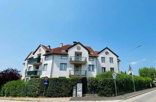 Wohnung mieten in Oberndorfer Straße 2/8, 3243 Sankt Leonhard am Forst, Oberndorfer Straße 2/8