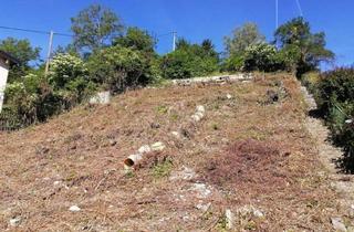 Grundstück zu kaufen in Dietschen 28, 3400 Klosterneuburg, Schnäppchen! Eigengrund! Sonniger Baugrund mit Tollem Fernblick in Absoluter Ruhelage! (Provisionsfrei)