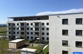 Wohnung kaufen in Waidmannsdorf Viktring, 9020 Klagenfurt, Vitrino Sunshine - Neubau Wohnung in Waidmannsdorf