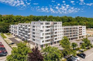 Gewerbeimmobilie kaufen in Traisenpark, 3100 Sankt Pölten, Gewerbefläche im Steingötterhof