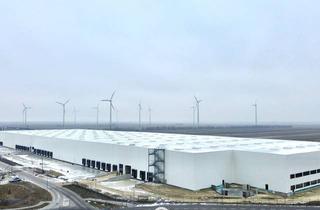Lager mieten in 2421 Kittsee, Direkt an der Grenze zwischen Österreich, Slowakei und Ungarn I Lager- und Produktionshalle ab 3.500 m² zu Mieten