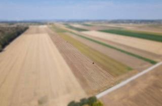 Gewerbeimmobilie kaufen in 2212 Großengersdorf, Landwirtschaftliches Grundstück in der KG Großengersdorf - 27952m2