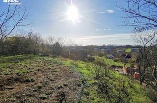 Grundstück zu kaufen in 7100 Neusiedl am See, Rarität am Kirchberg – Exklusives Baugrundstück mit unverbaubarem Seeblick