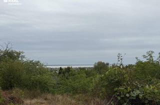 Grundstück zu kaufen in 7100 Neusiedl am See, Rarität am Kirchberg – Exklusives Baugrundstück mit unverbaubarem Seeblick