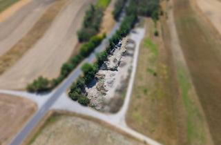 Agrarfläche kaufen in 2214 Auersthal, Landwirtschaftliches Grundstück in der KG Auersthal - 1750m2