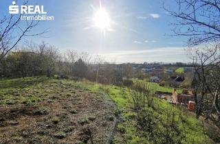 Grundstück zu kaufen in 7100 Neusiedl am See, Rarität am Kirchberg – Exklusives Baugrundstück mit unverbaubarem Seeblick