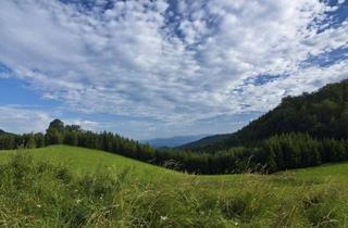 Gewerbeimmobilie kaufen in 8051 Graz, 2 ha Wiesengrund mit Baufläche