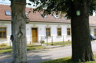 Wohnung mieten in Dorfstraße, 2292 Stopfenreuth, IM NATIONALPARK DONAUAUEN MIT TERRASSE & HOFSEITIGER GRÜNFLÄCHE