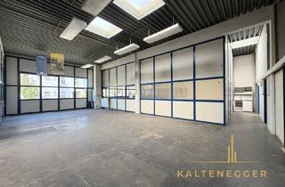 Büro zu mieten in Breitenfurter Straße, 1230 Wien, Großzügiges Lager- und Bürogebäude mit ca. 518 m² in Innenhoflage – vielseitig nutzbar
