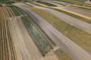Gewerbeimmobilie kaufen in 2214 Auersthal, Landwirtschaftliches Grundstück in der KG Auersthal - 816m2