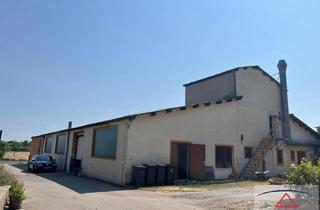 Gewerbeimmobilie kaufen in 2193 Wilfersdorf, Lagerhalle mit 750 m2 - auch für Produktion geeignet