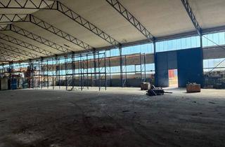 Büro zu mieten in 2431 Enzersdorf an der Fischa, Lagerhalle - flexibel teilbar - nahe Flughafen Wien