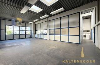 Lager mieten in Breitenfurter Straße, 1230 Wien, Großzügiges Lager- und Bürogebäude mit Ca. 518 m² in Innenhoflage - Vielseitig Nutzbar