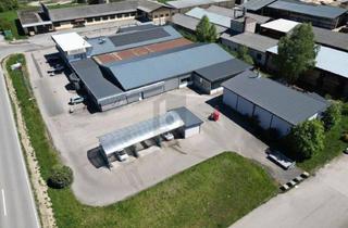 Lager kaufen in 5261 Helpfau, Vielseitiger Firmenstandort mit Ca. 2.400 m² Nutzfläche ? Teilkauf Möglich