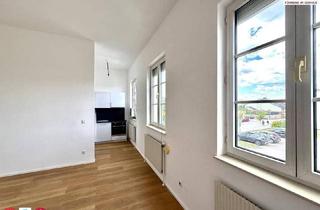 Wohnung mieten in Staasdorfer Straße, 3430 Tulln an der Donau, Helle 3 Zimmer Wohnung zur Miete / 72m2 / inkl. KFZ Stellplatz