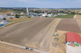 Gewerbeimmobilie kaufen in 2214 Auersthal, Landwirtschaftliches Grundstück in der KG Auersthal - 4306m2