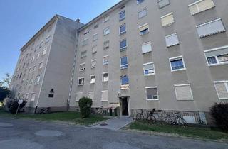 Wohnung kaufen in Bienengasse, 8020 Graz, Ruhige zentral gelegene 3 Zimmer Wohnung