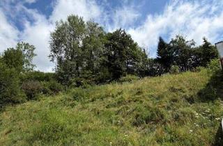 Grundstück zu kaufen in 8605 Deuchendorf, Baugrund in Kapfenberg – Hanglage mit Weitblick zum Top-Preis!