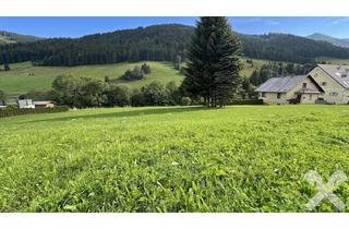 Grundstück zu kaufen in 8765 Sankt Johann am Tauern Sonnseite, Baugrundstück inmitten der steirischen Bergwelt