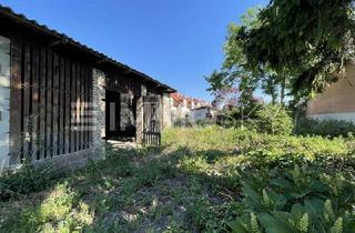 Grundstück zu kaufen in 3462 Absdorf, rechteckig-uneinsichtig-grün