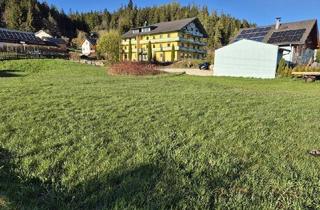 Grundstück zu kaufen in 8983 Bad Mitterndorf, Wohnen wo andere Urlaub machen!
