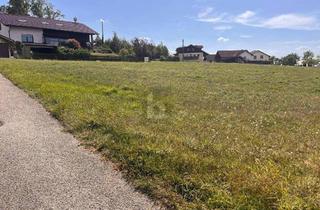 Grundstück zu kaufen in 4785 Freinberg, RUHIGES GRUNDSTÜCK IN TOPLAGE