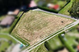 Grundstück zu kaufen in 8732 Dürnberg, Sonniges Feriengrundstück in Ruhelage - Rückzugsort im Wunderschönen Seckau