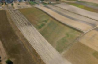 Gewerbeimmobilie kaufen in 2214 Auersthal, Landwirtschaftliches Grundstück in der KG Auersthal - 4169m2