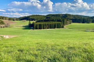 Grundstück zu kaufen in 4252 Liebenau, Baugrund in Dorfrandlage