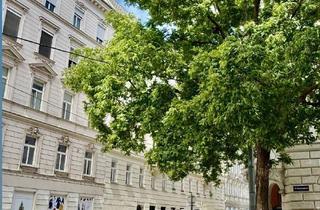 Gewerbeimmobilie mieten in Seidlgasse 14, 1030 Wien, Spannendes LOFT in Top Lage zu vermieten