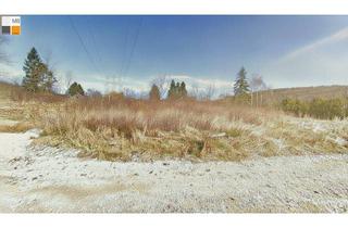 Grundstück zu kaufen in Am Hirschkogel, 2392 Sulz im Wienerwald, ++ Guten Morgen Sonnenschein I MB IMMOBILIEN ++