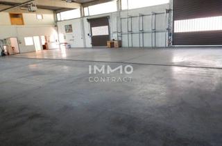 Lager mieten in Wiener Straße, 3400 Klosterneuburg, Gewerbeimmobilie mit Ca. 720 m² - Unbefristet - Ablösefrei - Branchenfrei!