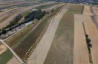 Gewerbeimmobilie kaufen in 2214 Auersthal, Landwirtschaftliches Grundstück in der KG Auersthal - 3238m2