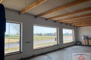 Gewerbeimmobilie kaufen in 2193 Wilfersdorf, Lagerhalle mit 750 m2 - auch für Produktion geeignet