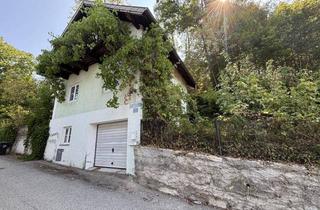 Haus kaufen in 4600 Thalheim bei Wels, Altbau auf kompakten Grundstück