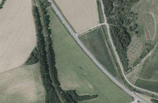 Gewerbeimmobilie kaufen in 2132 Hörersdorf, Landwirtschaftliches Grundstück in Hörersdorf