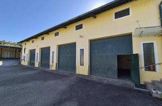 Büro zu mieten in 2013 Bergau, HALLE MIT 4 GARAGENBOXEN