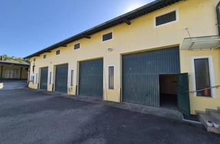 Agrarfläche mieten in 2013 Göllersdorf, HALLE MIT 4 GARAGENBOXEN