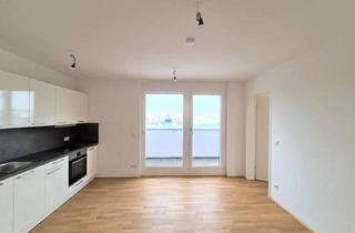 Wohnung mieten in Koloniestraße, 1210 Wien, Top Moderne Dg-Wohnung (3-19) mit 21M² Mega-Terrasse in der Koloniestraße