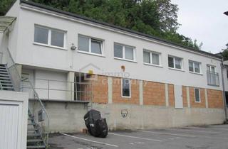 Anlageobjekt in 4470 Enns, Neuer Preis - Für Anleger: Hohe Rendite Modernisiert, Sehr Ruhig !