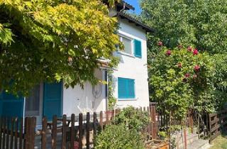 Wohnung mieten in 6971 Hard, helle Erdgeschosswohnung mit großer Südterrasse in ruhiger Lage in Hard