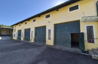 Büro zu mieten in 2013 Göllersdorf, HALLE MIT 4 GARAGENBOXEN