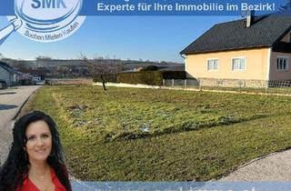 Grundstück zu kaufen in 3701 Großweikersdorf, „Sensationeller Preis!“ Sonniges Eckgrundstück OHNE BAUZWANG!