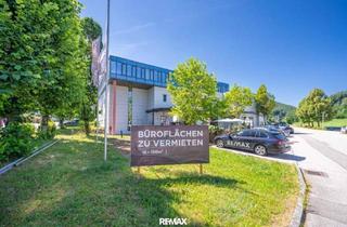Büro zu mieten in 5322 Hof bei Salzburg, Raum für Unternehmen – Moderne Gewerbefläche in Hof bei Salzburg