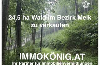 Gewerbeimmobilie kaufen in 3233 Umbach, Seltene Gelegenheit: 24,5 ha Wald samt 1,2 ha landwirtsch.NFL verkaufen