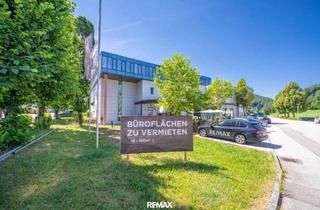 Büro zu mieten in 5322 Hof bei Salzburg, Raum für Unternehmen – Moderne Gewerbefläche in Hof bei Salzburg
