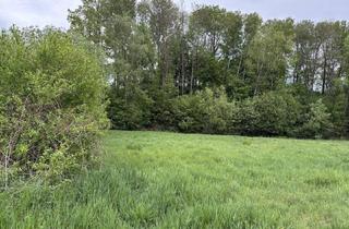 Gewerbeimmobilie kaufen in 7423 Wiesfleck, Schönes Wiesen-Wald-Grundstück