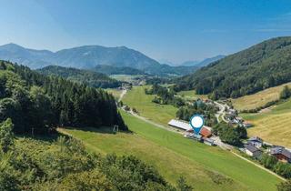 Einfamilienhaus kaufen in 5324 Faistenau, Salzburger Voralpenland - Vielseitiges Anwesen mit großzügiger Nutzfläche in der Faistenau