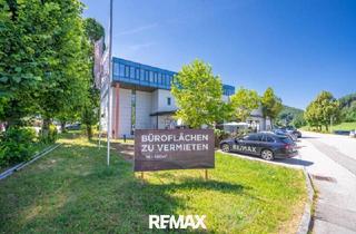 Büro zu mieten in 5322 Hof bei Salzburg, Raum für Unternehmen – Moderne Gewerbefläche in Hof bei Salzburg