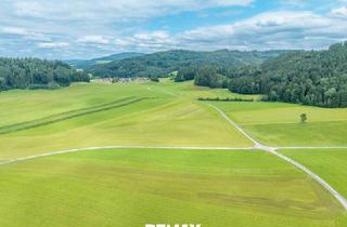 Immobilie kaufen in 5202 Neumarkt am Wallersee, Landwirtschaftliche Nutzfläche in Neumarkt am Wallersee
